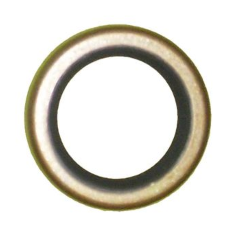 Oil Seal