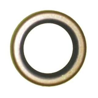 Oil Seal