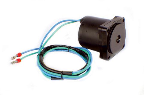 Johnson / Evinrude 75-300 Hp Tilt / Trim Motor