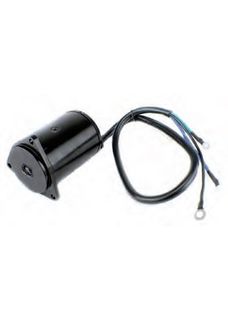 Suzuki Trim Motor 150 / 200 Hp DT