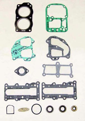 Johnson / Evinrude 9.9 / 15 Hp Powerhead Gasket Kit