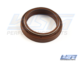 Johnson / Evinrude 120-140 / 200-300 Hp Looper Lower Crank Seal