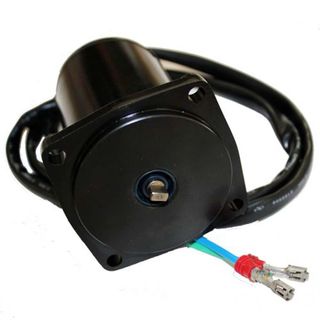 Johnson / Evinrude 15-60 Hp E-TEC Tilt/Trim Motor