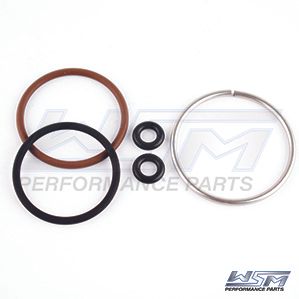 Johnson / Evinrude 40-300 Hp E-TEC Fuel Injector Repair Kit