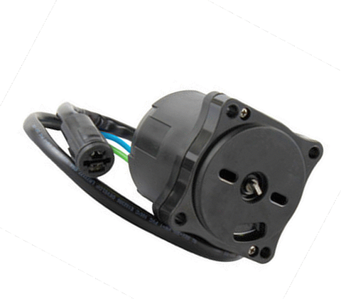 Trim/Tilt Motor Honda/Suzuki 70-90Hp 4Stoke 07-21