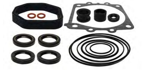 Gearcase Seal Kit 200-225 2&4 Stroke 06 & Up