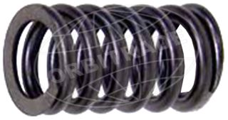 Volvo D30-32 & D40-300 Valve Spring