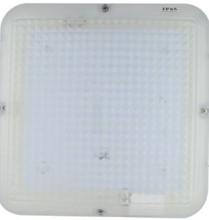 LED Bulkhead WP 24W