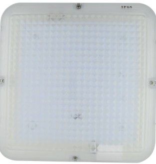 LED Bulkhead WP 24W