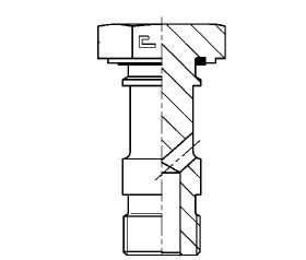 M48X2.0 Metric M BANJO BOLT STL