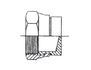 1/2" BSPP F STR CAP STST