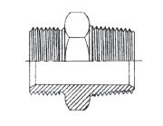 1/4" BSPP M X 1/8" BSPT M STR ADPTR STST
