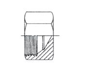 7/8" JIC F STR CAP STST