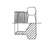 1" BSPP M STR PLUG STST