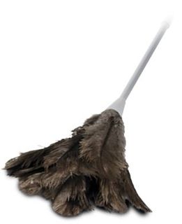 FEATHER DUSTERS