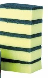 SPONGE SCOURERS
