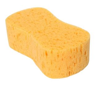 SPONGES