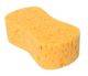 SPONGES