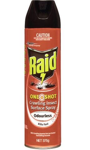 RAID ONE SHOT INSECT SURFACE SPRAY ODOURLESS 450G