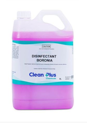 CLEAN PLUS DISINFECTANT BORONIA 5L