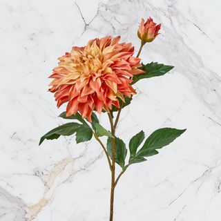 Garden Flowers (Others)