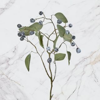 Berry Plants & Twigs & Branches