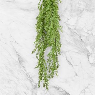 Hanging Garlands and Plants