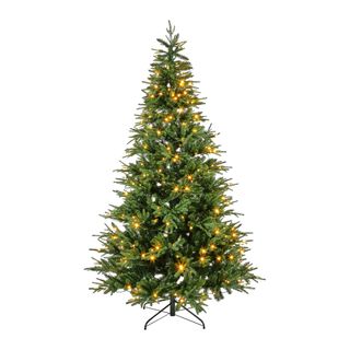 LIGHT UP TREES