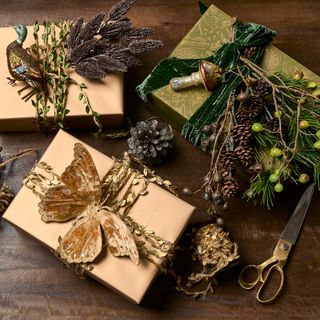 Golden Bronze Radiance