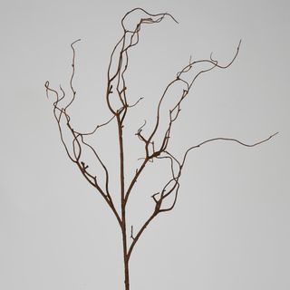 Twigs & Branches