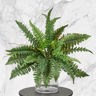 Potted Greenery