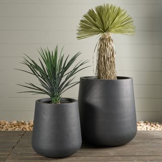 Pots & Planters