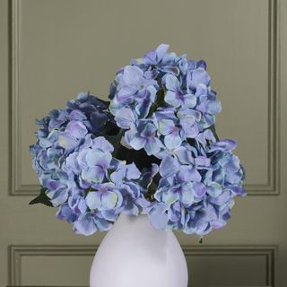 Hydrangeas