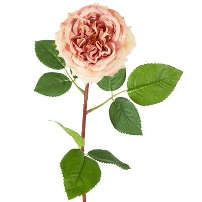 Dried Look English Rose Stem 50cm Blush