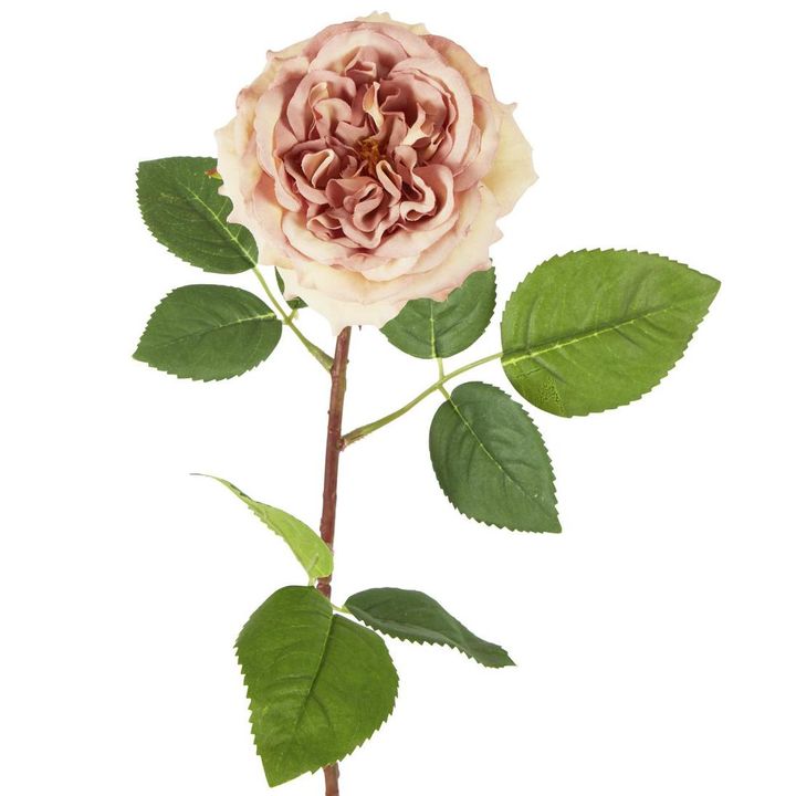 Dried Look English Rose Stem 50cm Blush