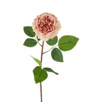 Dried Look English Rose Stem 50cm Blush