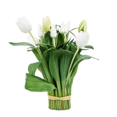 Tulip Bundle Wrapped 40cm White