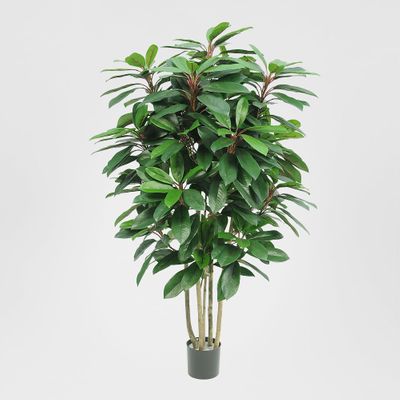 Schefflera Tree W/450 Leaves Green/Red