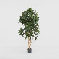Schefflera Tree W/700 Leaves Green