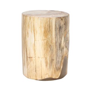 Binga Petrified Wood Table Natural