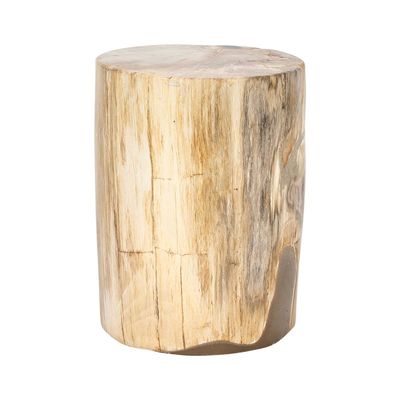 Petrified Wood Table Natural No. 6