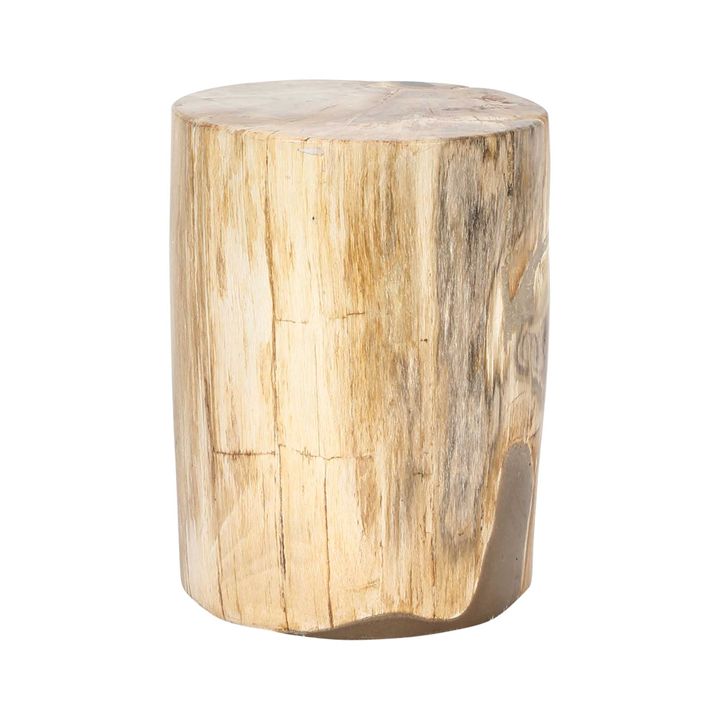 Petrified Wood Table Natural No. 6