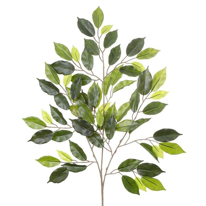 Ficus leaf Spray 75cm
