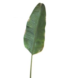 Banana Leaf 1.7m Green
