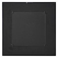 Sketched Flowers In Black Frame With Linen Insert Set 2