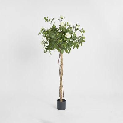 Rose Topiary Light White 1.4m
