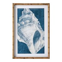 Elouera Vintage Shells Wall Art Set of 3