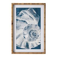 Elouera Vintage Shells Wall Art Set of 3