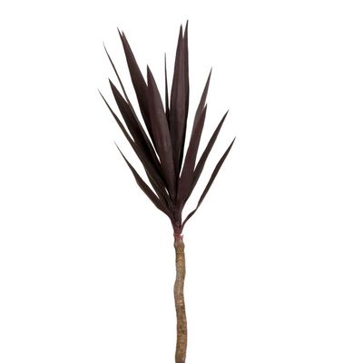 Yucca Stem W/16 Lves 86cm Burgundy