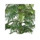 Areca Full Palm Potted 1.8m